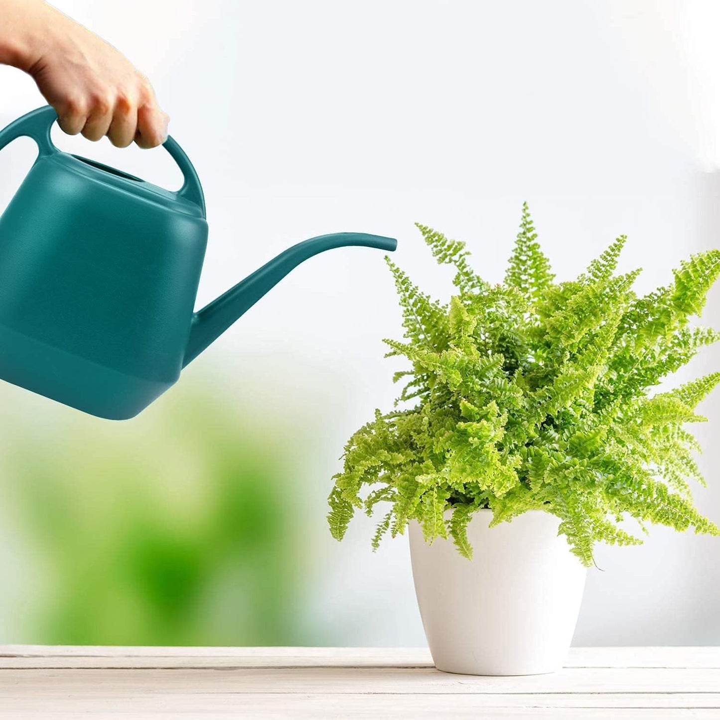 Fasmov Plastic Watering Can, 1-Gallon, Green