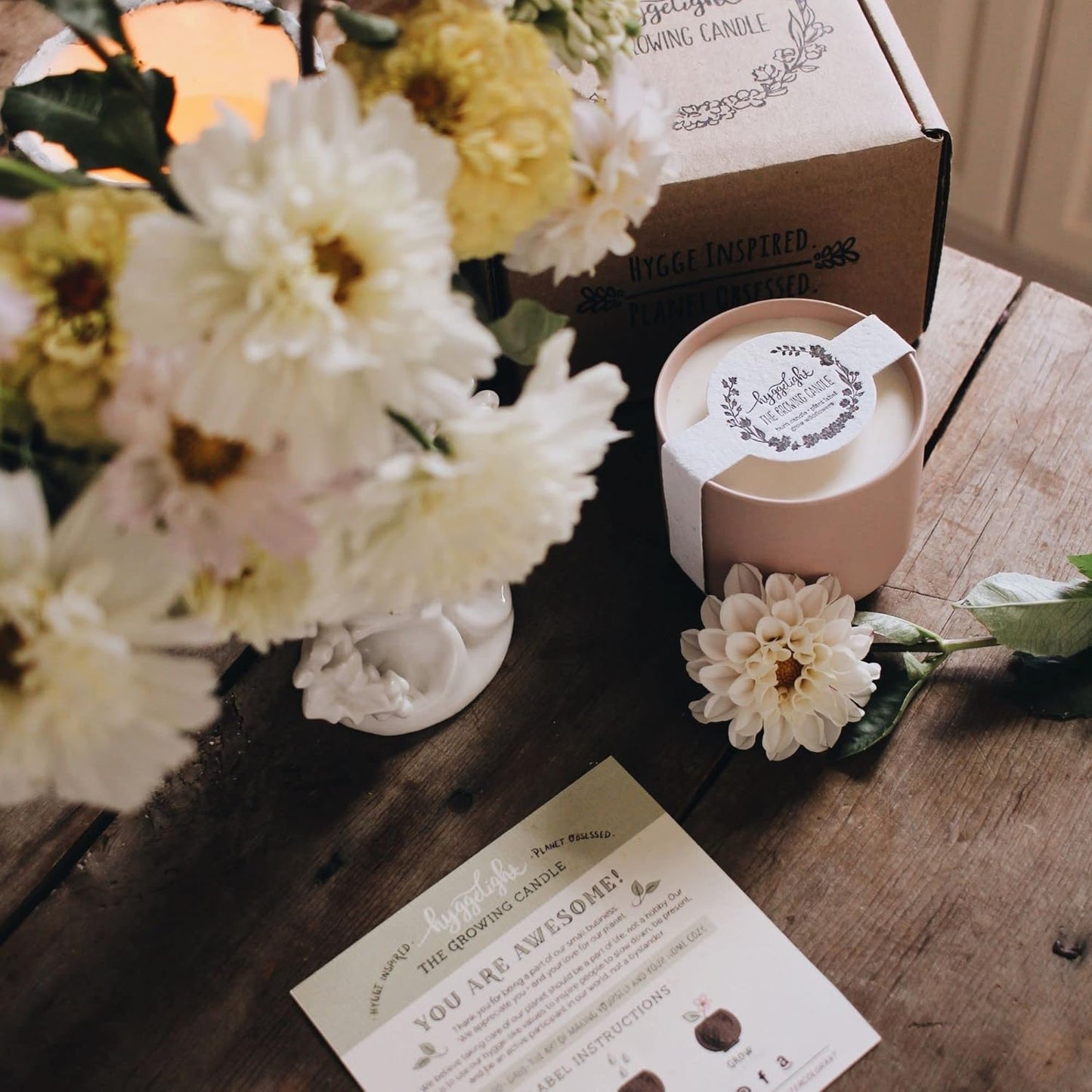 The Growing Candle, Mint & Eucalyptus Scented, 8oz Ceramic Pot, Aromatherapy Candles, 100% Soy, Adelyn