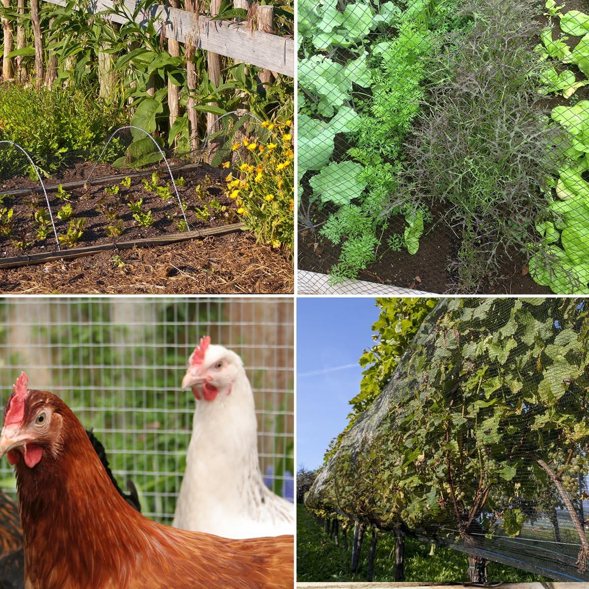 Bird Netting,10 x 30 FT Garden Netting Bird Net for Chicken Coop, Poultry Netting Fence for Fruit Trees, Plants and Vegetables Against Birds, Deer, Squirrels and Other Animals