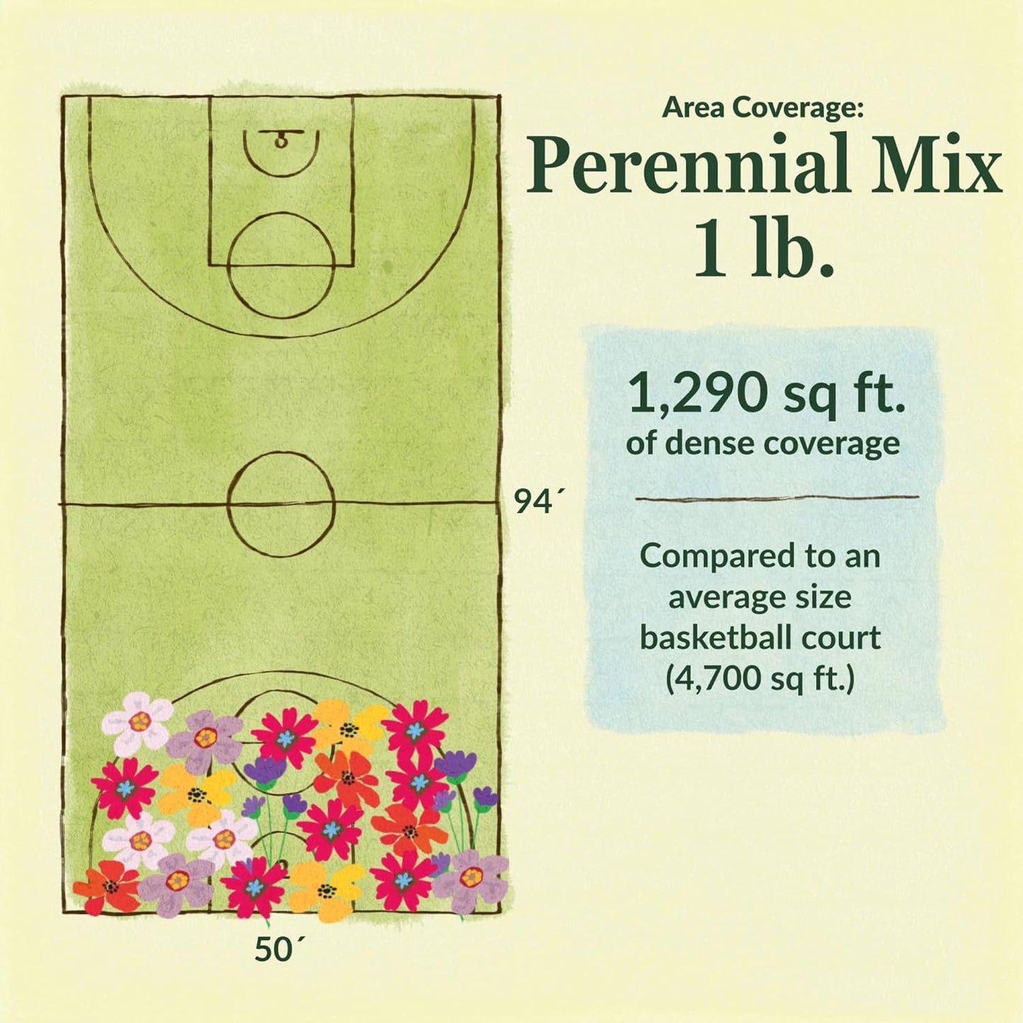 Ferry-Morse Perennial Mix Bulk Wildflower Seeds, 1lb