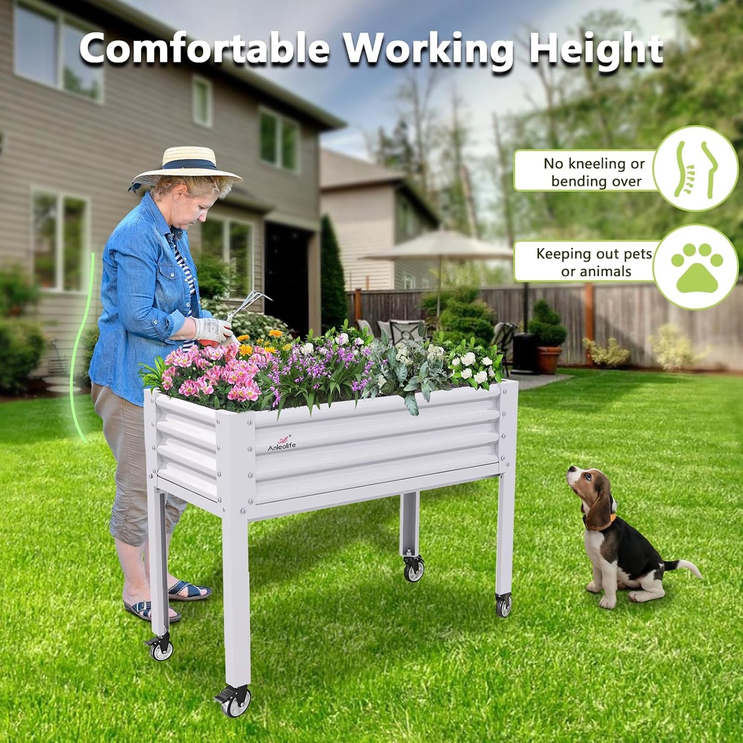 A ANLEOLIFE Galvanized Raised Garden Bed with Legs,48x24x35in Large Elevated Planter Box on Wheels with Drainage Holes for Backyard, Balcony, Patio, 600lb Capacity, Antique White