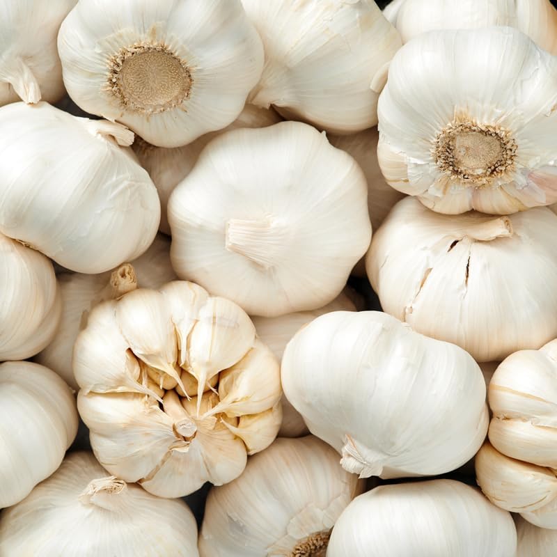 1 Pound Garlic for Planting in Fall Softneck, 8Carlifornia Solfneck Garlic Bulbs for Planting, Fresh and High Yield Bulb Variety Pack, Hardy and Fast Growing