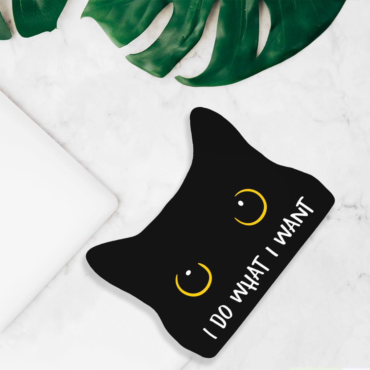 I Do What I Want Funny Bathroom Acrylic Decor Sign Black Cat Decor Cat Decor for Home Bathroom Cat Lover Gifts For Women Men