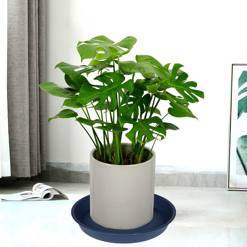 6 Pack Plant Saucer Drainage Tray, Plastic Plant Water Tray, 6 inch Flower Saucers for Indoors, Plant Dishes for Pots Base (6 inch, Blue)