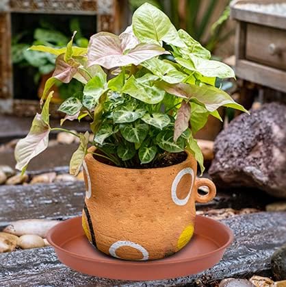 6 Pack of 8 inch Plant Saucer, Heavy Duty Plastic Plant Drip Trays 8" Round, Plant Dishes Saucer, Flower Plant Water Trays for Indoors, Plate for Planter 7-9" (8 inch, Terracotta)
