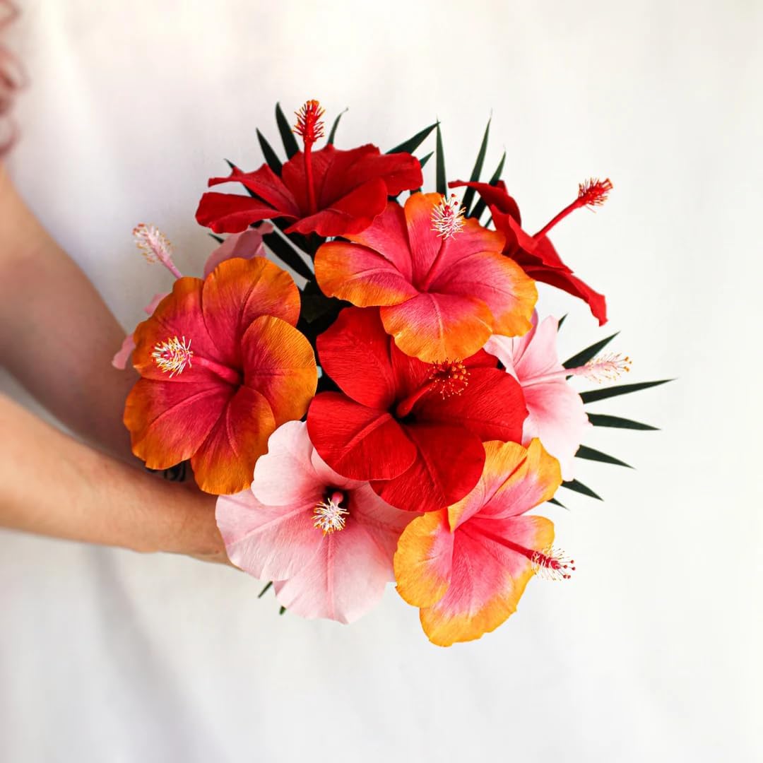 Red Hibiscus. rosa-sinensis. Live Plant - Tropical Blooming Hibiscus, Pretty Flowers, Used in Tea and Juice (2 red Hibiscus sacs)