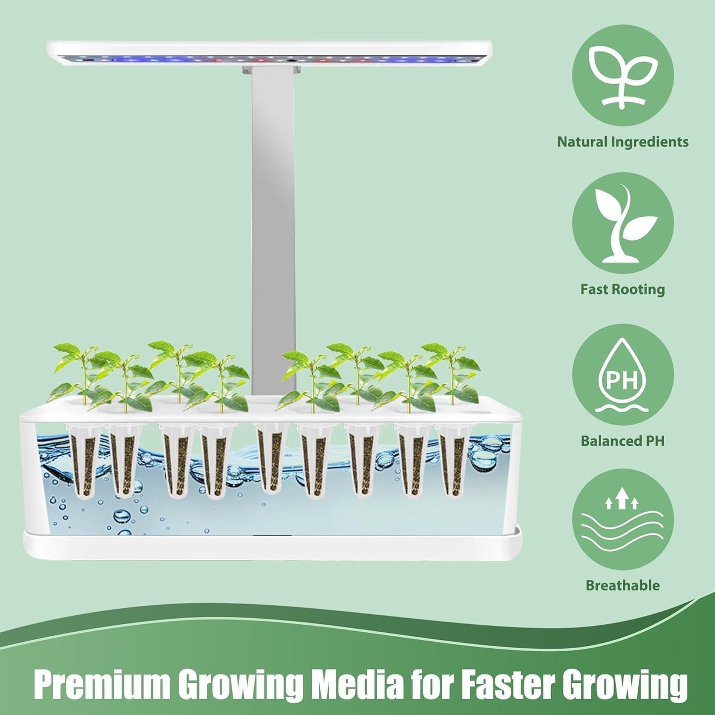 Basil Seed Pods for All Hydroponics Growing Systems, 12 Pods Herb Kit with 200+ Seeds of Genovese Basil, Grow Your Own Herb Garden at Home