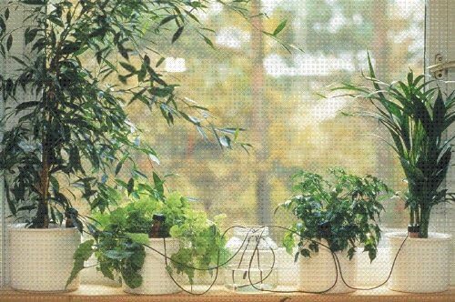 Blumat Classic Plant Watering Stakes - Self-Watering Insert for Indoor and Outdoor Plants - Automatic Slow Release Irrigation System for Potted Plants - Houseplant Care Device (10 Pack)