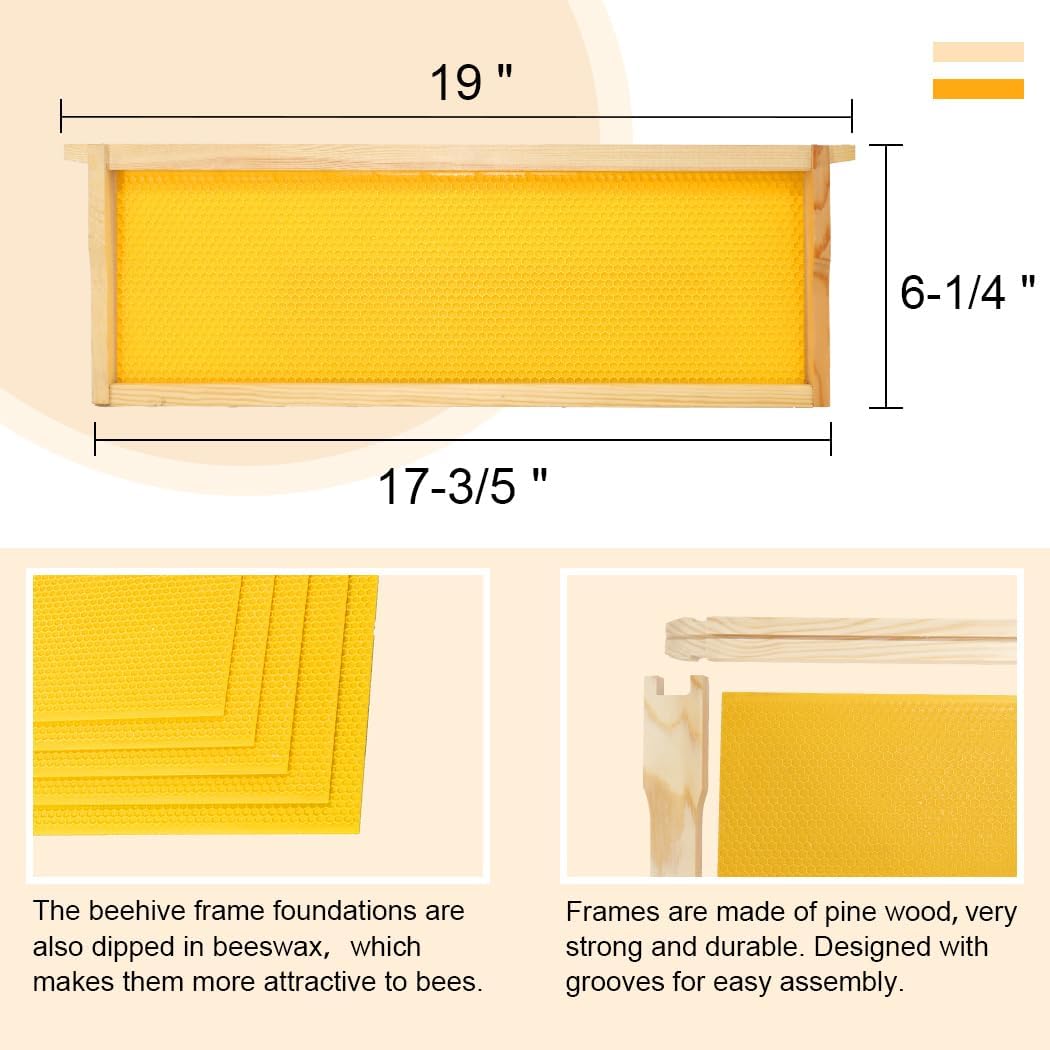 10 Frame Bee Hive Box, Langstroth Medium Super Bee Box Dipped in 100% Beeswax Include Beehive Frames and Waxed Foundation Sheets (Unassembled)