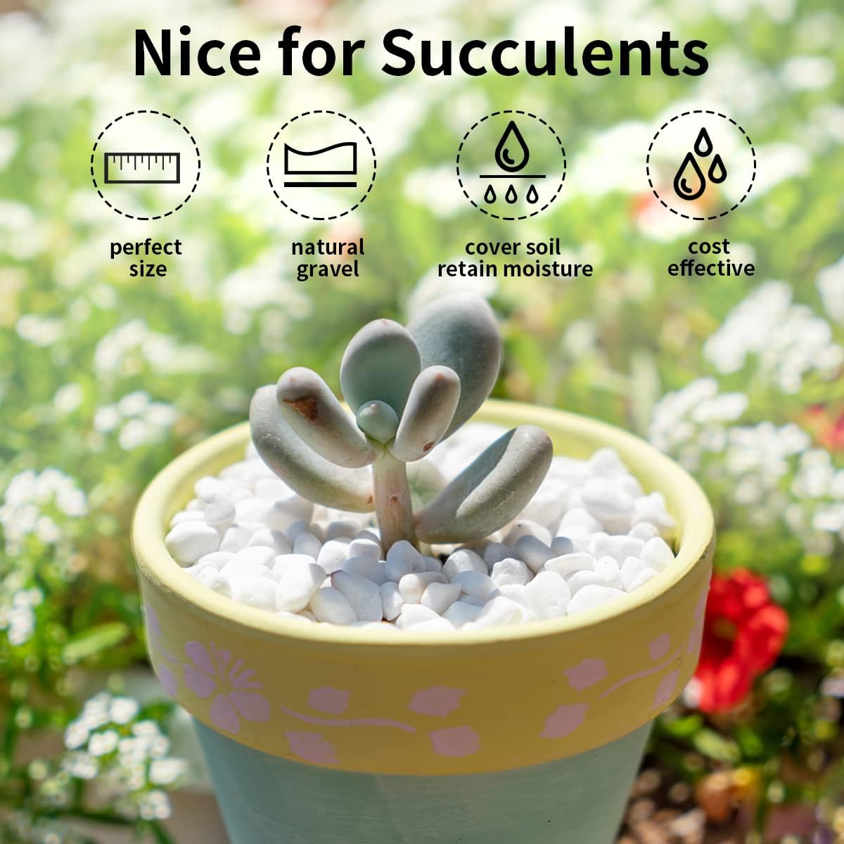 2 lbs White River Rocks for Plants, 3/8 Inch Gravel Pebbles for Plants. Decorative White Stones for Succulents, Cactus, Vase and Outdoor Garden Landscaping
