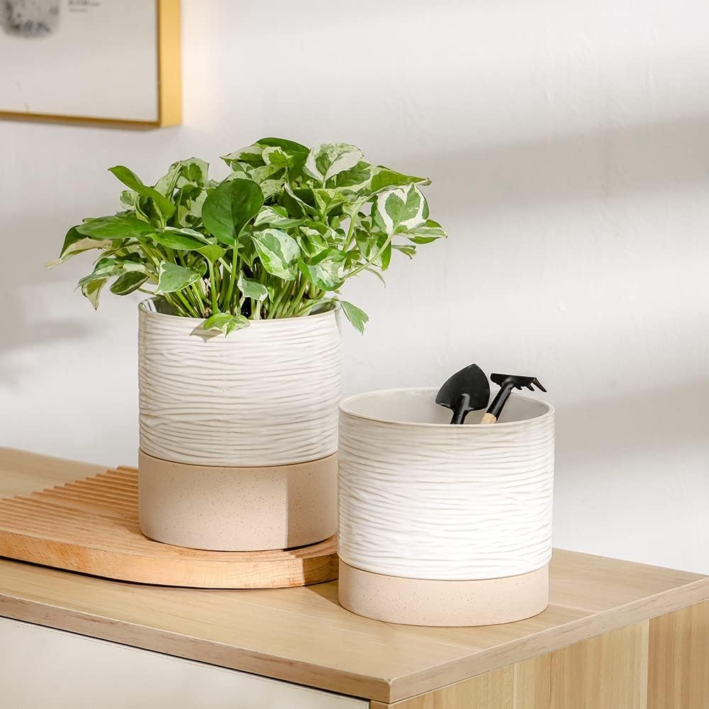 Nihow Ceramic Plant Pot: 6 Inch Planter with Drainage Hole & Saucer for Indoor & Outdoor Plants - Cylinder Round Flower Pot for Succulent/Herbs/Violets - Cream White & Brown