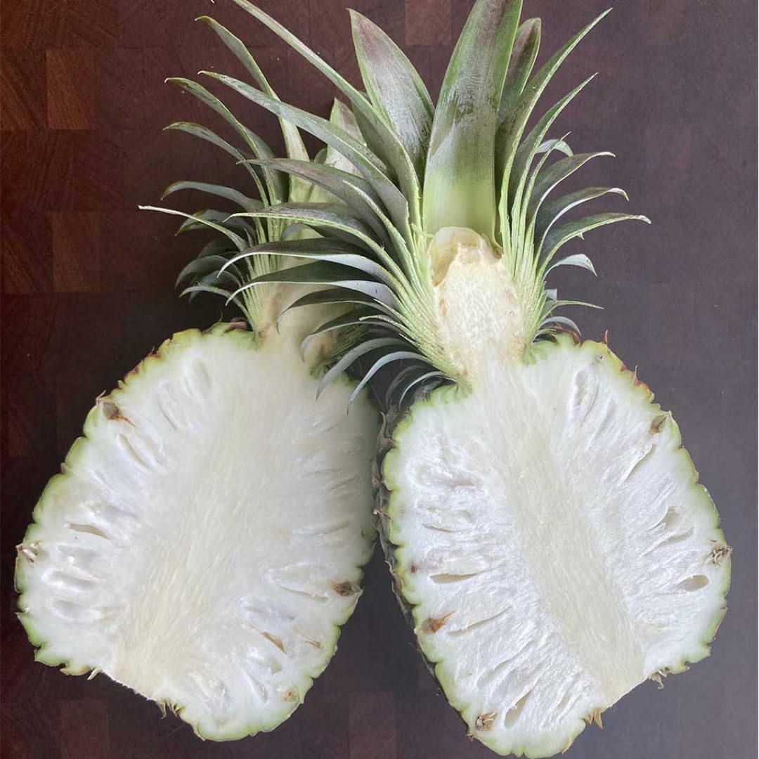 Pineapple Plant Live, White Jade Pineapple Tree Shrub Bush, Starter Plant 4-7 Inches Tall, Outdoor Growing, No Pot, Sweet Flavor