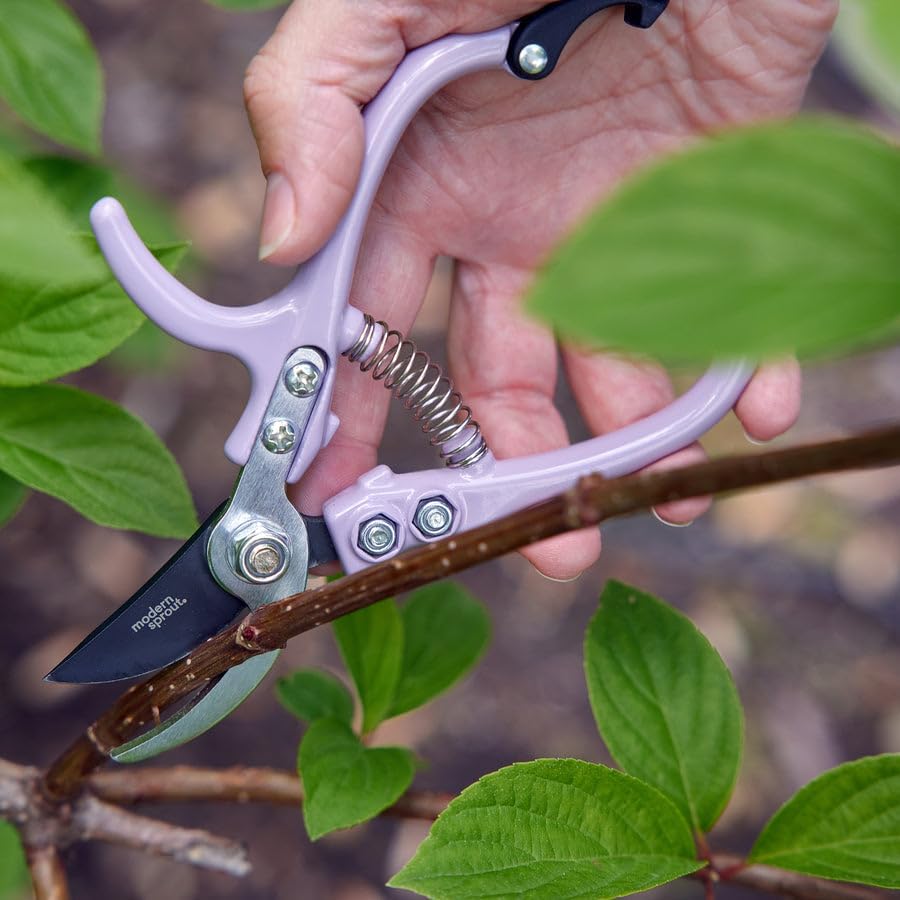 Modern Sprout Hand Pruners - Lightweight Pruning Shears W/Easy Lock- Gardening Scissors - Bypass Sharp Carbon Steel Blade - Rust Resistant - Garden Tools - Reusable Holster - Green