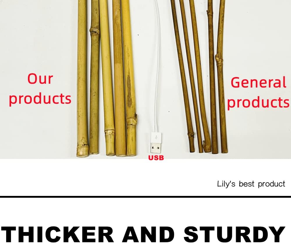HOPELF 50 Pack 2ft Bamboo Plant Stakes for Wood Garden Sticks，Wooden Plant Supports，Bamboos，Bamboo Trellis，Crafts, More Size Choices 8"/12"/16"//2'/3'/4'/5'/6'