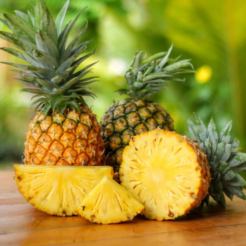 Gold Pineapple Plant Live for Planting 5 to 8 Inch Tall, Sweet Pineapple Fruit Tree Live Plant, Pineapple Seedling