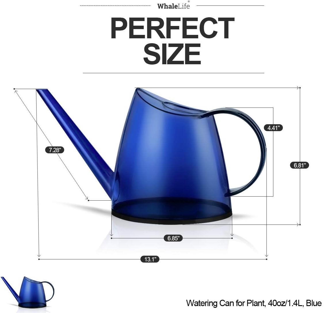 WhaleLife Indoor Watering Can for House Bonsai Plants (1.4L, Blue)