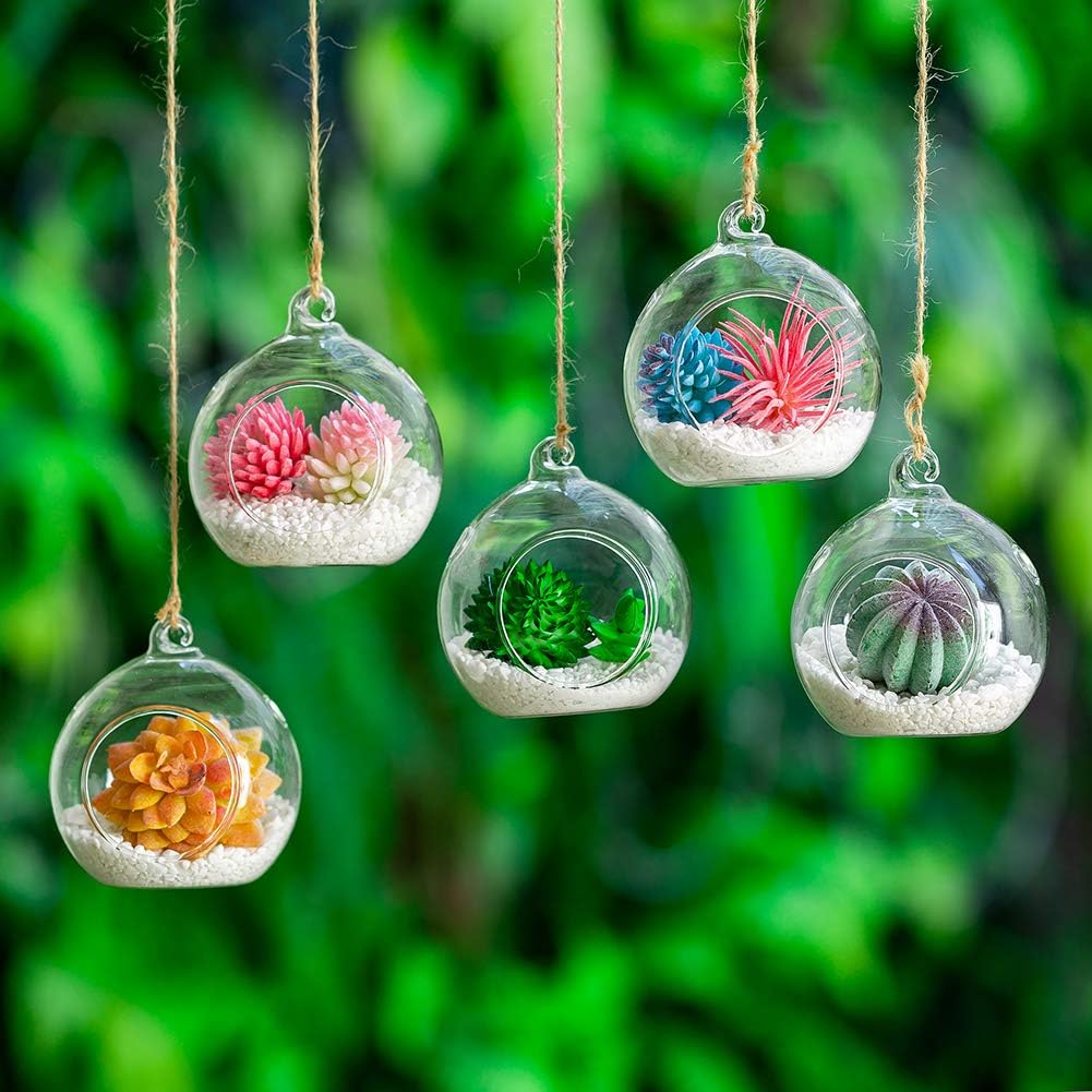 Nuptio 8 Pcs 3.15"/ 8cm Hanging Glass Tealight Holder Globe Plant Terrariums Glass Orbs Air Plants Tea Light Candle Holders Home Decor Indoor Outdoor Garden (with 2 Holes, 6 Pcs + 2 Pcs)