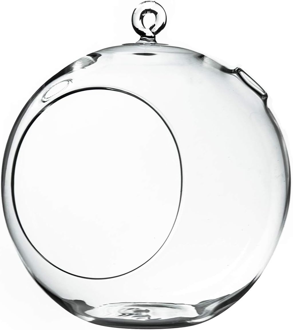 WGV Hanging Terrarium Globe, Width 8", Height 9", DIY Air Succulent Planter, Clear Glass Vase Orb with Flat Bottom, Candle Holder for Windowsill Outdoor Garden Decor, 1 Piece
