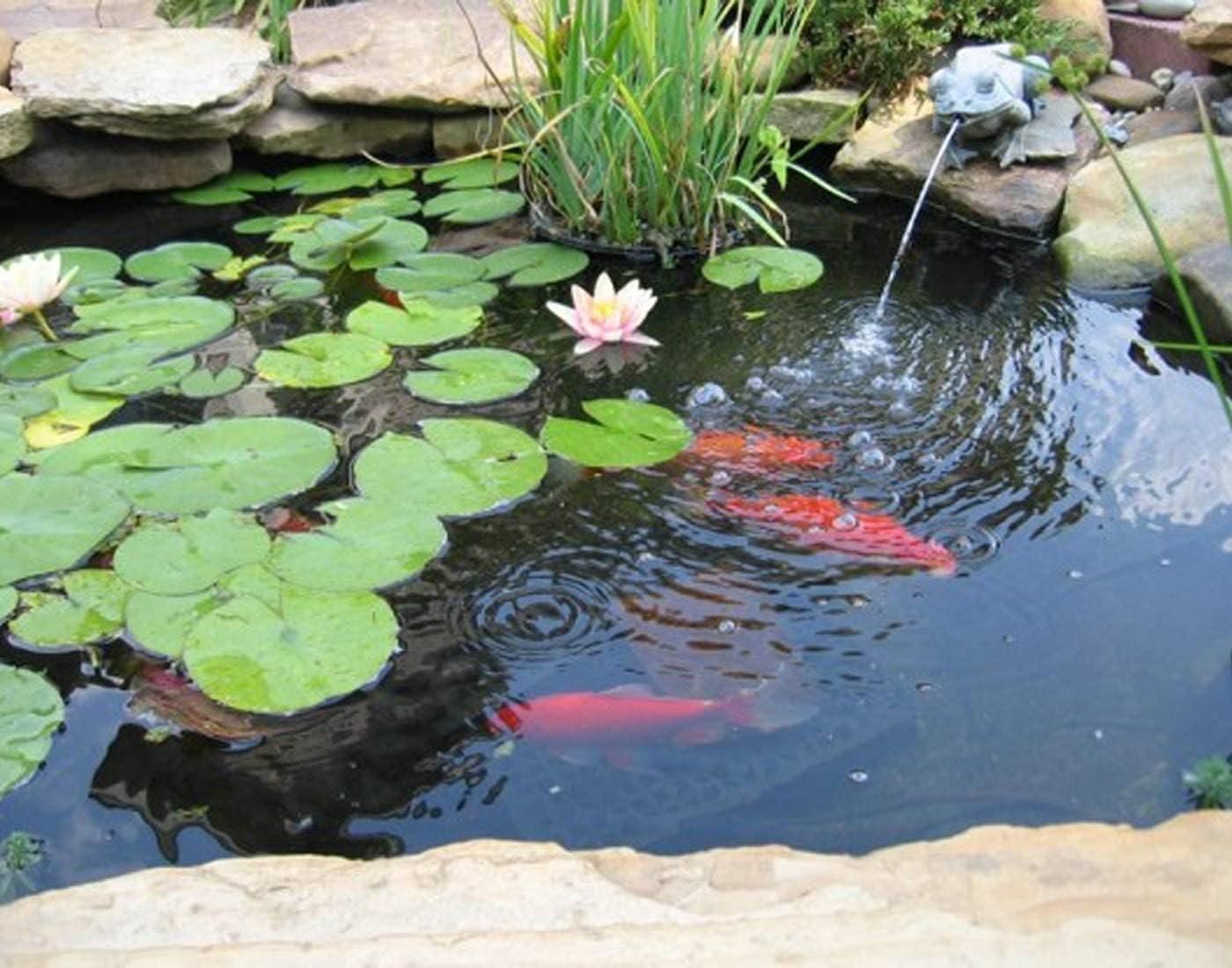 Pond Liner 20 x 25ft 20 mil Pond Liners for Outdoor Ponds, UV Resistant Pond HDPE Liner for Fish Ponds, Pool, Water Features, Fountains, Waterfall and Water Gardens, Black