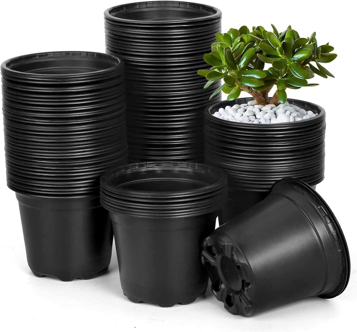 120 Packs 6 Inch Plant Nursery Pots, Plastic Seeds Starter Pots with Drainage Holes, Germination Soft Flower Plant Container for Succulents Seedling Cutting Transplanting (120, 6 Inch)