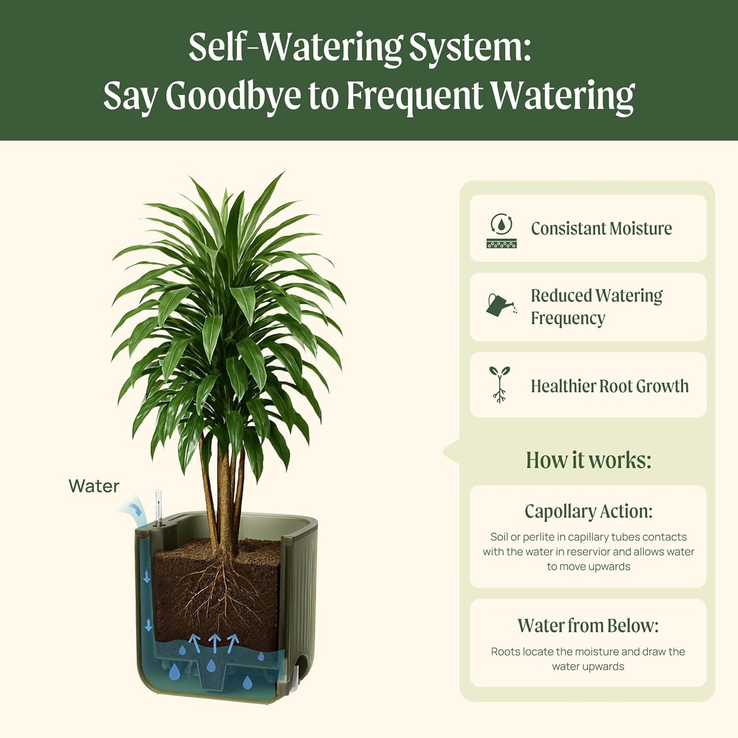 Vego garden Self Watering Pots Home Planters with Water Gauge for Effortless Indoor Plants Cream White