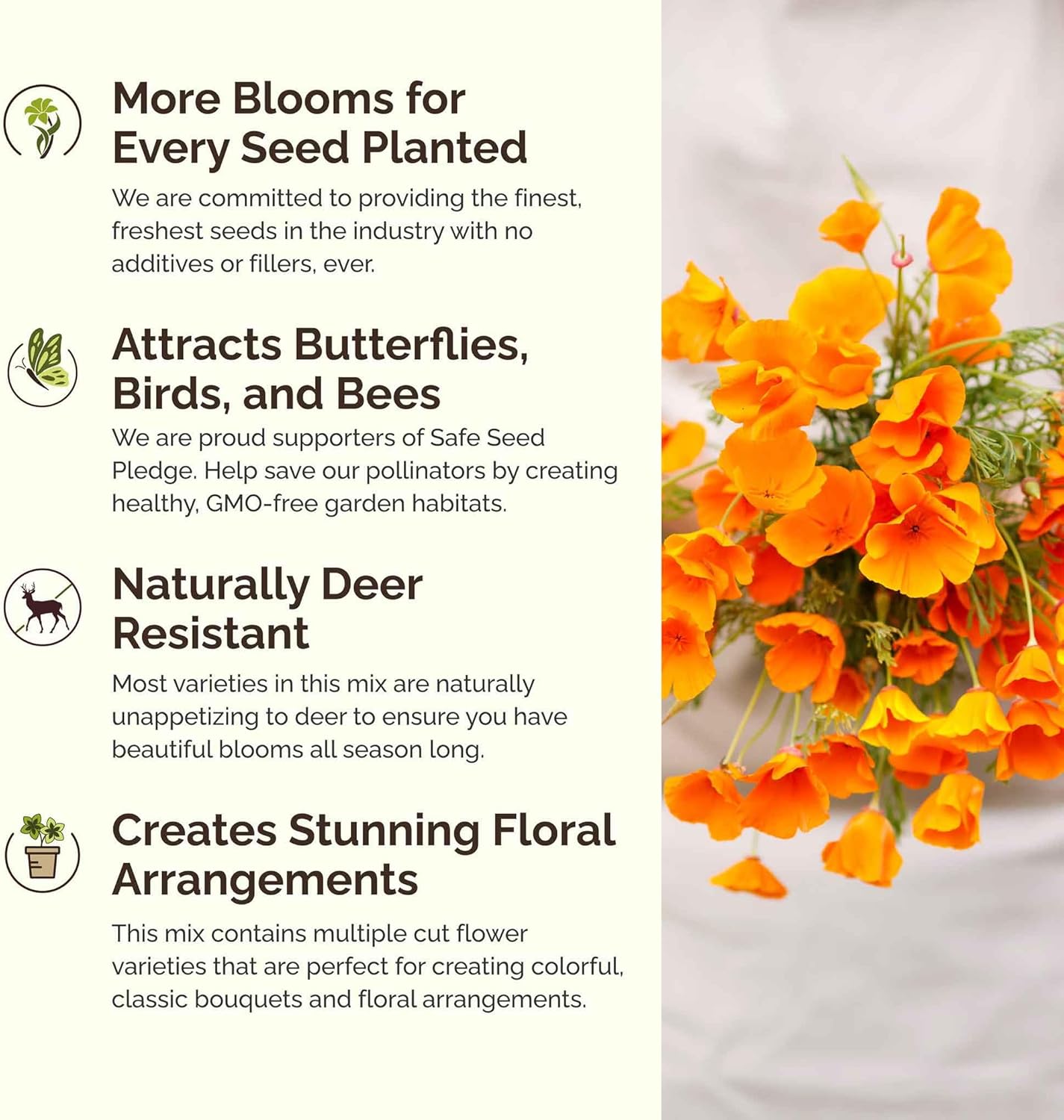 Eden Brothers Deer Resistant Wildflower Mixed Seeds for Planting, 10 lb, 4,800,000+ Seeds with Foxglove, Forget Me Not | Attracts Pollinators, Plant in Spring or Fall, Zones 3, 4, 5, 6, 7, 8, 9, 10