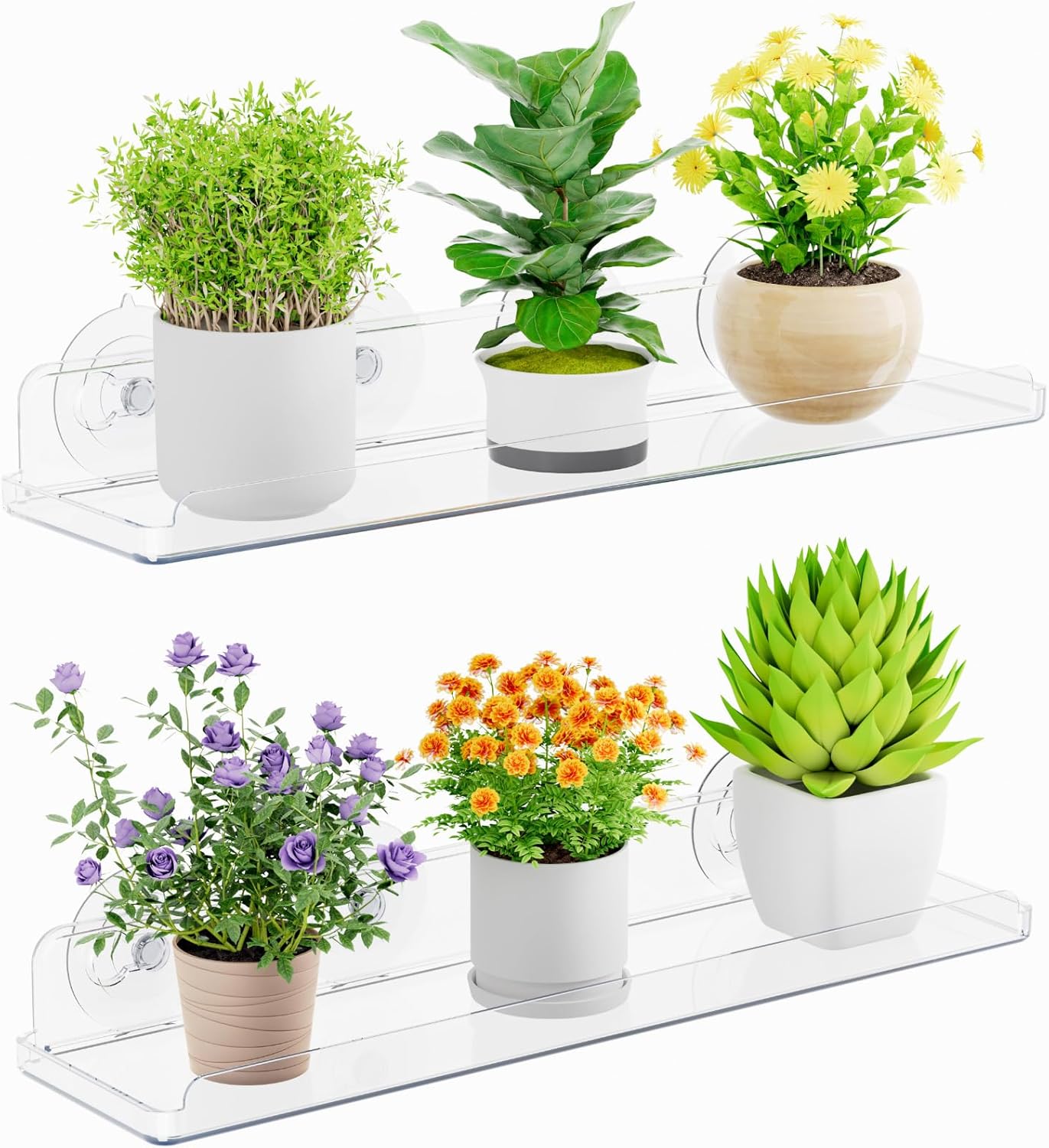 Lifewit Window Plant Floating Shelves 15 x 4 inch, 2 Pack Acrylic Suction Cup Shelf, Window Sill Extender for Indoor Succulent Plants, Micro Greens, Seed Starter Pots, Herb Planters