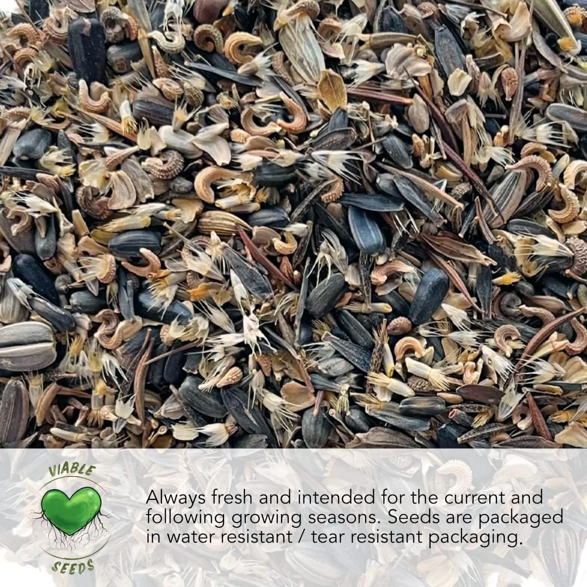 Seed Needs, Italian Herb Seed Packet Collection (5 Individual Seed Varieties for Planting) Non-GMO & Untreated - Oregano, Basil, Rosemary, Sage and Parsley