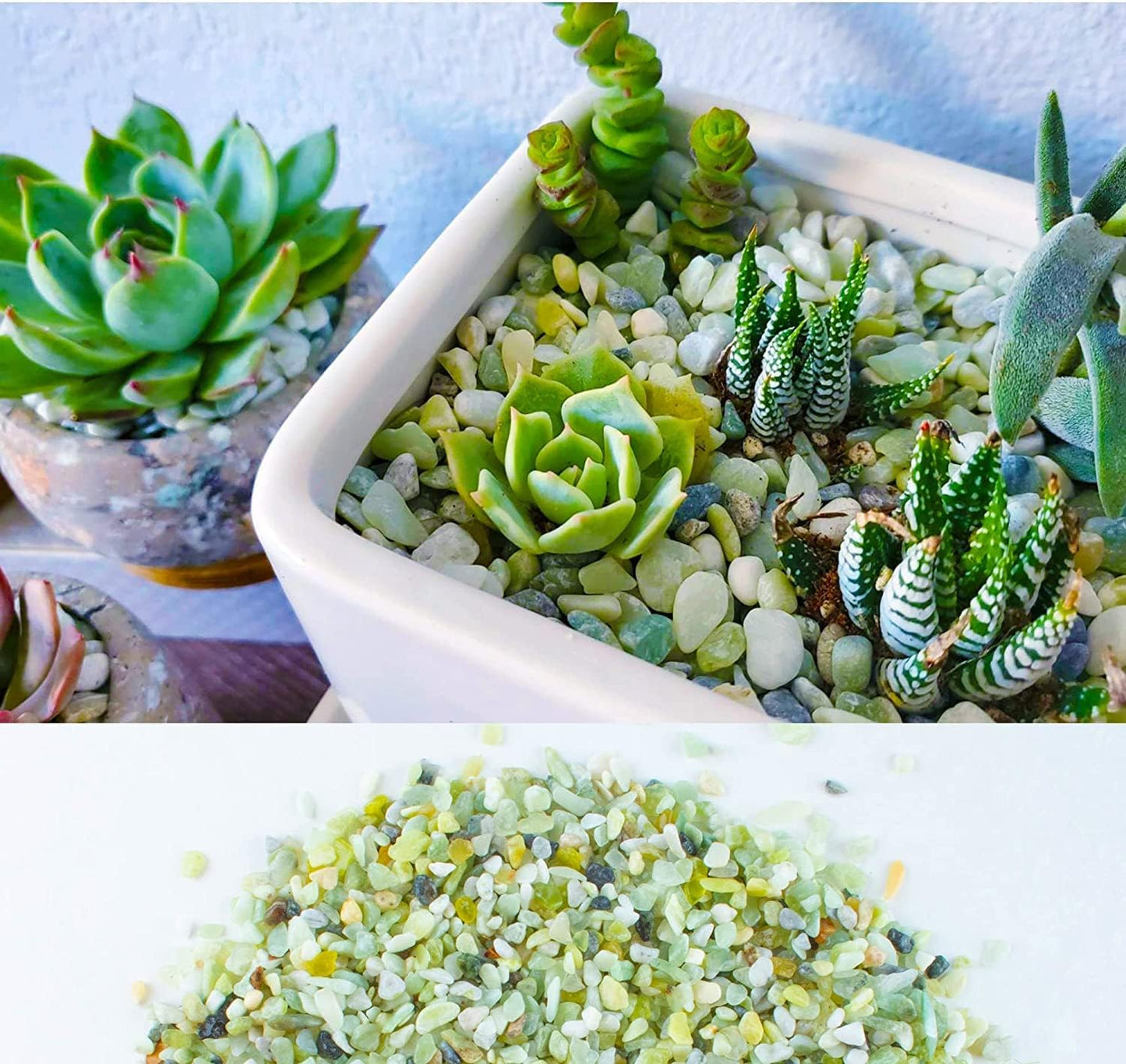 7lb Jade Bean Pebbles,1/4 Inch Cactus Bonsai DIY Rocks, Natural Succulent Rock and River Rocks Decorative for Aquariums, Vases, Terrarium, Outdoor Gardening, Top Dressing for Potted Plants