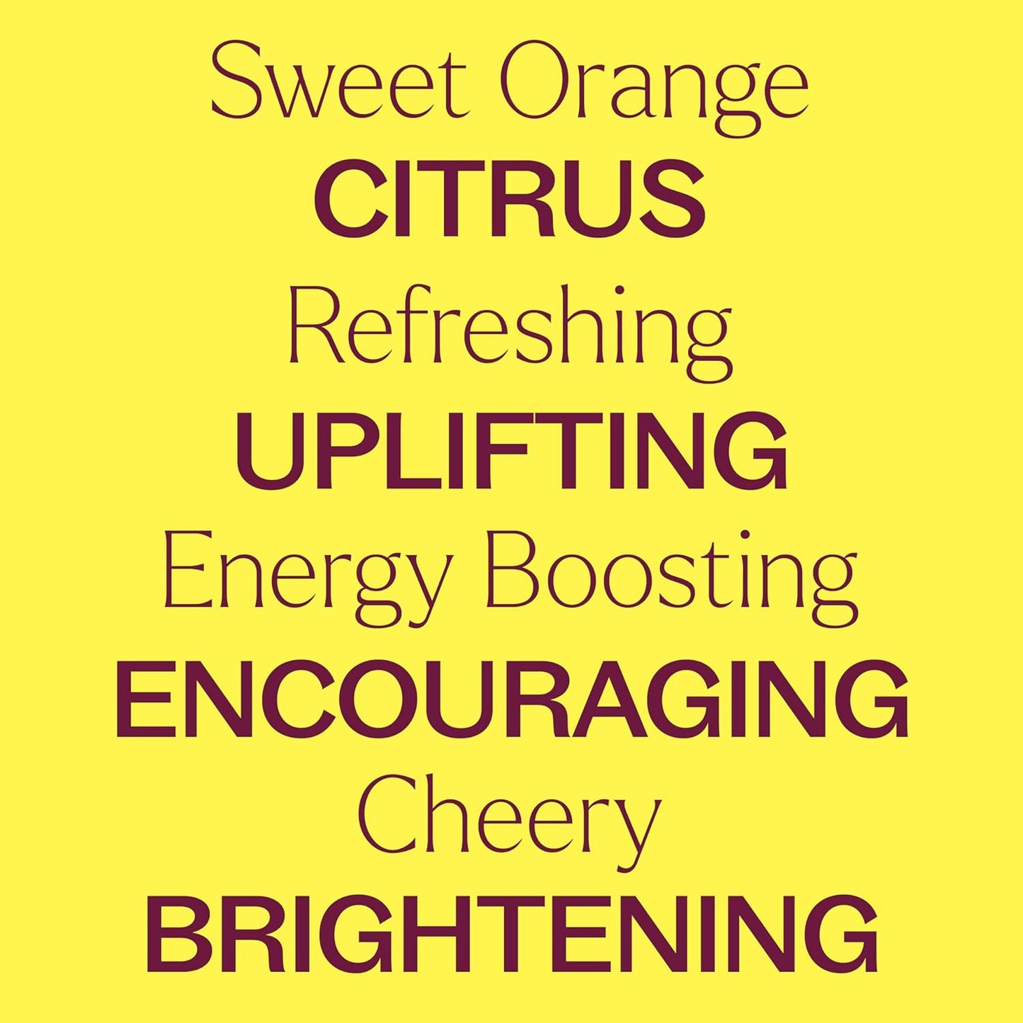 Plant Therapy Sweet Orange Organic Essential Oil 100% Pure, USDA Certified Organic, Undiluted, Natural Aromatherapy, Therapeutic Grade 30 mL (1 oz)