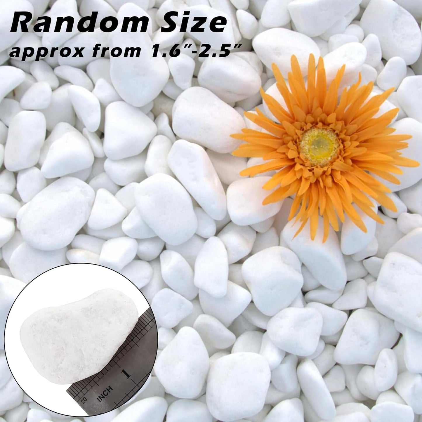11 Lbs Natural River Rocks for Plants 1.6-2.5 inches Large White Landscaping Garden Stones White Aquarium Gravel Decorative Pebbles for Indoor Outdoor Planters Home Decor