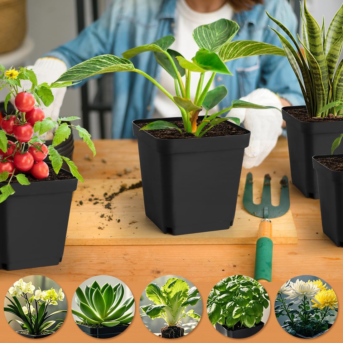 Square Nursery Pots 5.5 Inch, Plastic Plant Pot with Drainage Holes, Reusable Seedling Starter Pots Garden Flower Pots Planters for Indoor Plants, Transplanting, Succulents, Cuttings