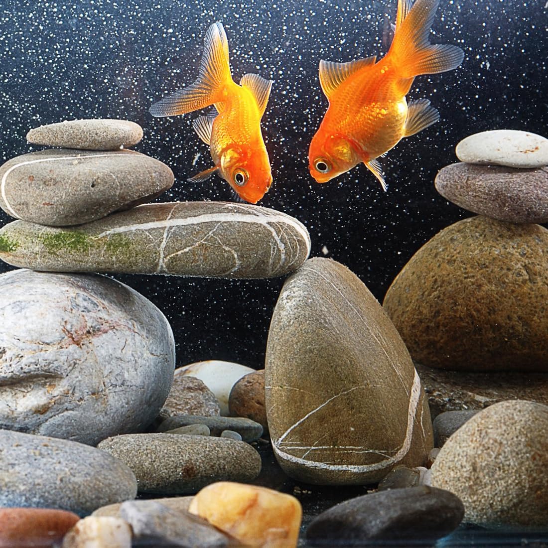 20lbs Natural River Rocks, 3"-4" Premium Pebbles for Garden and Landscape Design, Hand-Picked Smooth Stones for Fish Tank, Flower Pots, Indoor Water Fountains, Pathways, Backyard