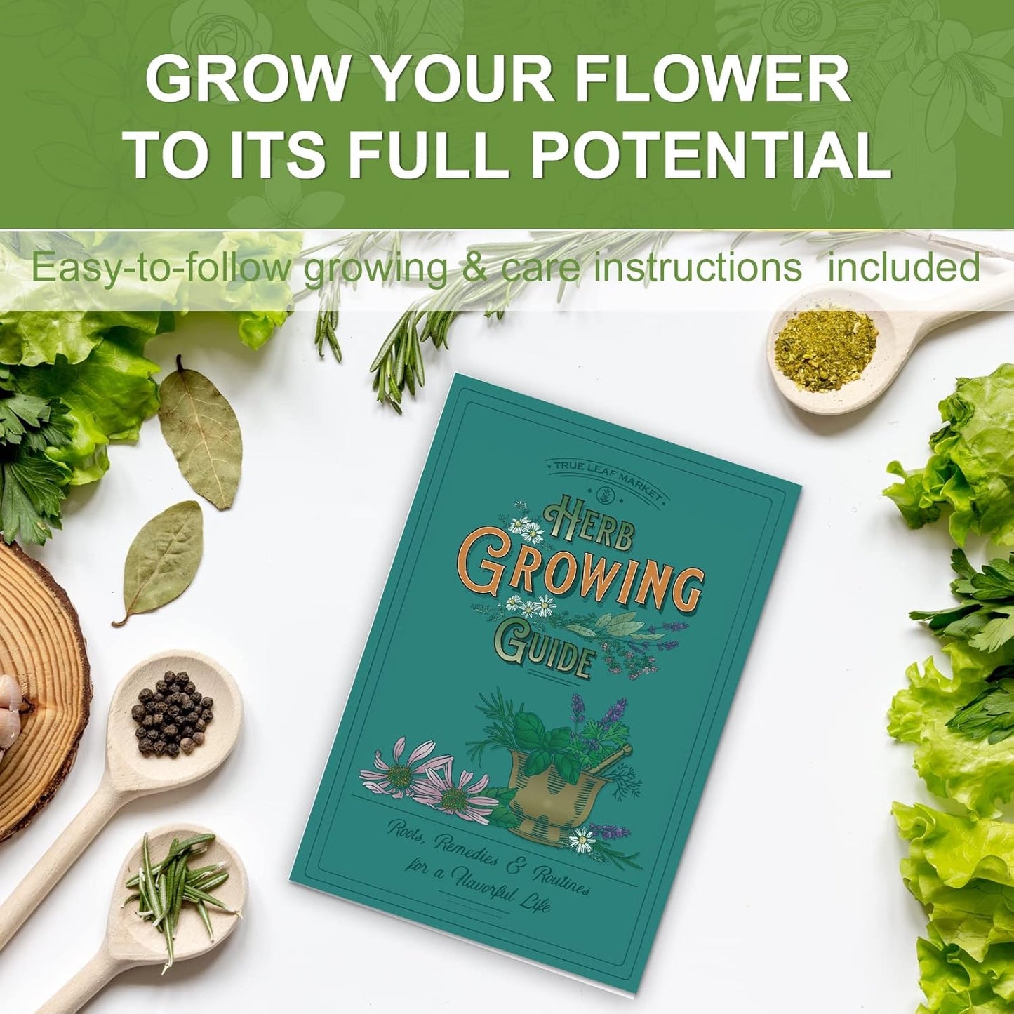 5 Herb Seeds Garden Starter Kit with Complete Planting Kit & Wooden Flower Box, Growing into Basil, Parsley, Rosemary, Thyme, Mint for Kitchen Windowsill Herb Garden DIY