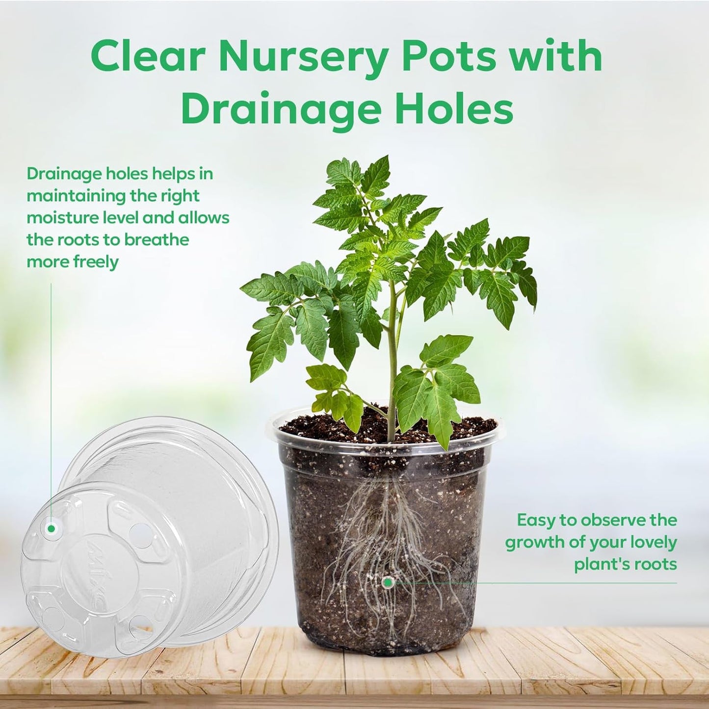50 Packs 4 Inch Reinforced Clear Nursery Pots with Drainage Hole, Transparent Variety Pack Plastic Plant Pot Seedling Planter Seed Starter Flower