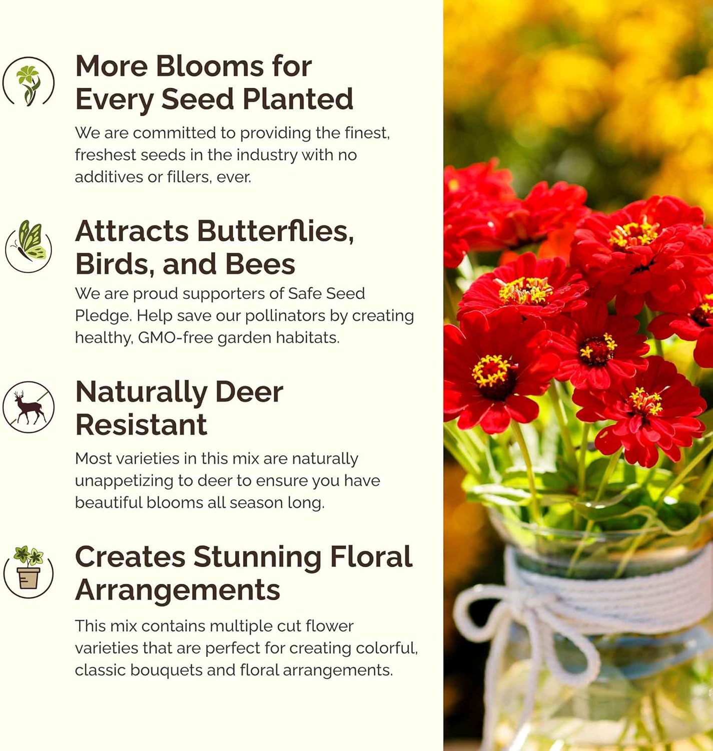 Eden Brothers Cupid's Flower Seed Mixed Seeds for Planting, 1/4 lb, 120,000+ Seeds with Malop Vulcan, Zinnia | Attracts Pollinators, Plant in Spring, Zones 2, 3, 4, 5, 6, 7, 8, 9, 10