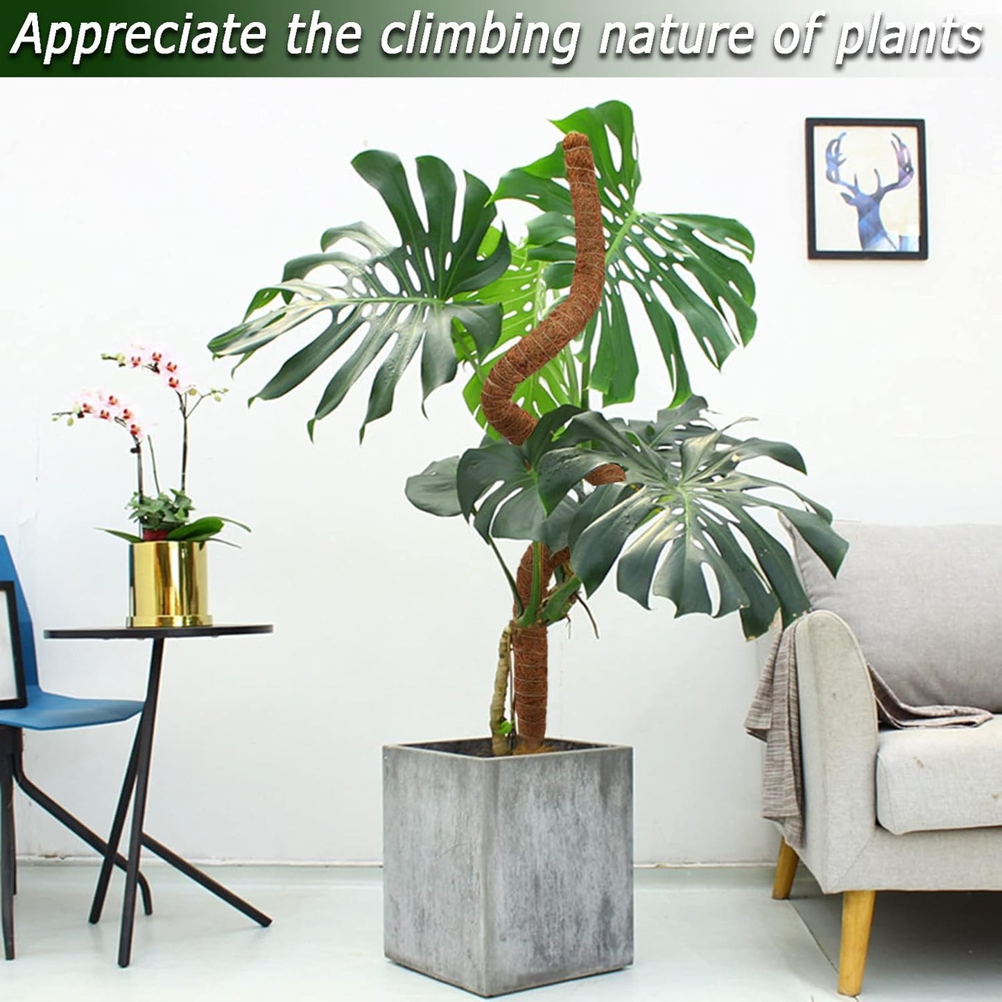 48 Inch Moss Pole, Bendable Moss Pole for Plants Monstera, Tall Moss Poles for Climbing Plants Indoor, Large Moss Pole Support, Garden Trellis Plant Stick Stakes for Potted Plants, Pothos