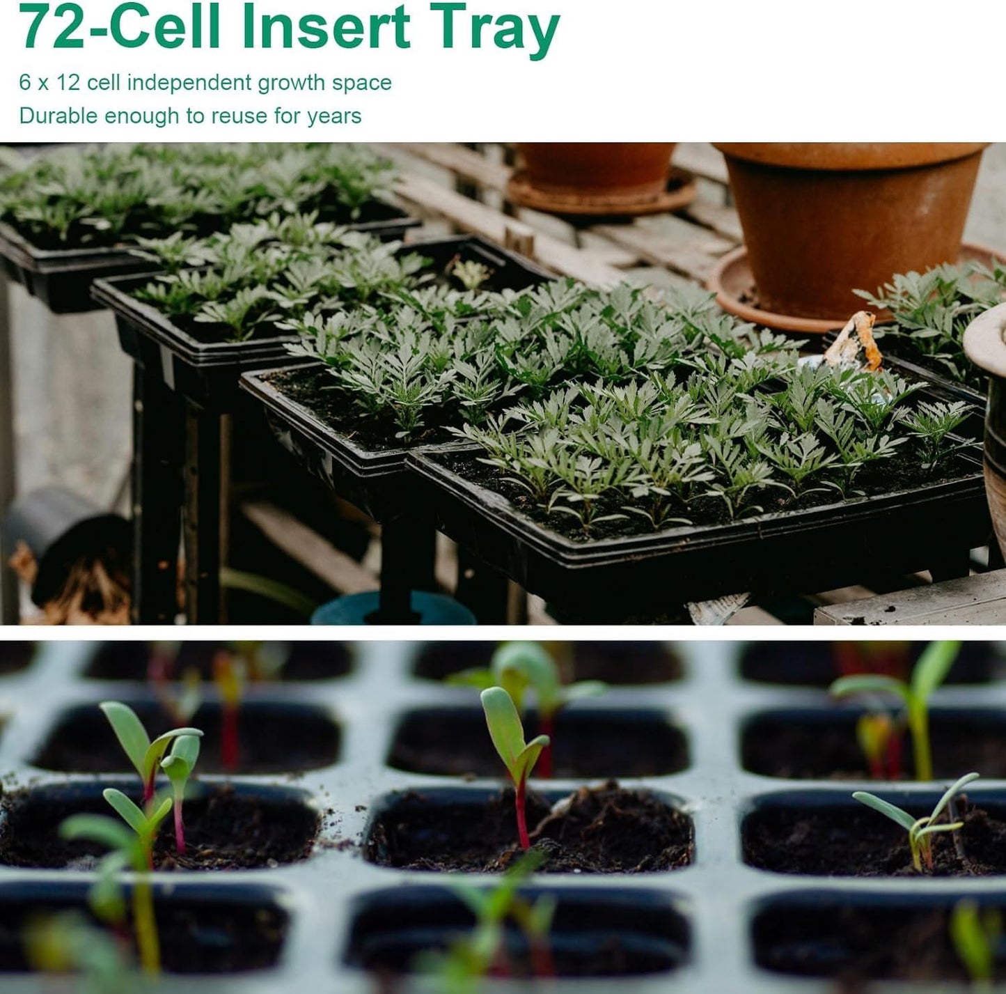 20 Pack Flower and Plant Cultivation Trays,1020 Seed Starting Trays No Holes and 72 Cell Seedling Starter Plugs Reusable for Microgreen Seedling Germination, Indoor Outdoor Gardening