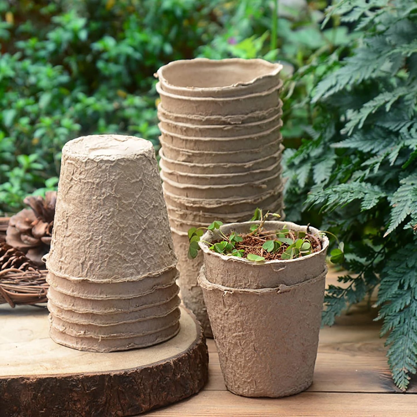Cedilis 60 Pack 4 inch Peat Pots, Biodegradable Plant Starter Pots with Plant Labels, Germination Station Starter Cups, Disposable Plant Pots for Seedlings, Flowers, Vegetables Seeds
