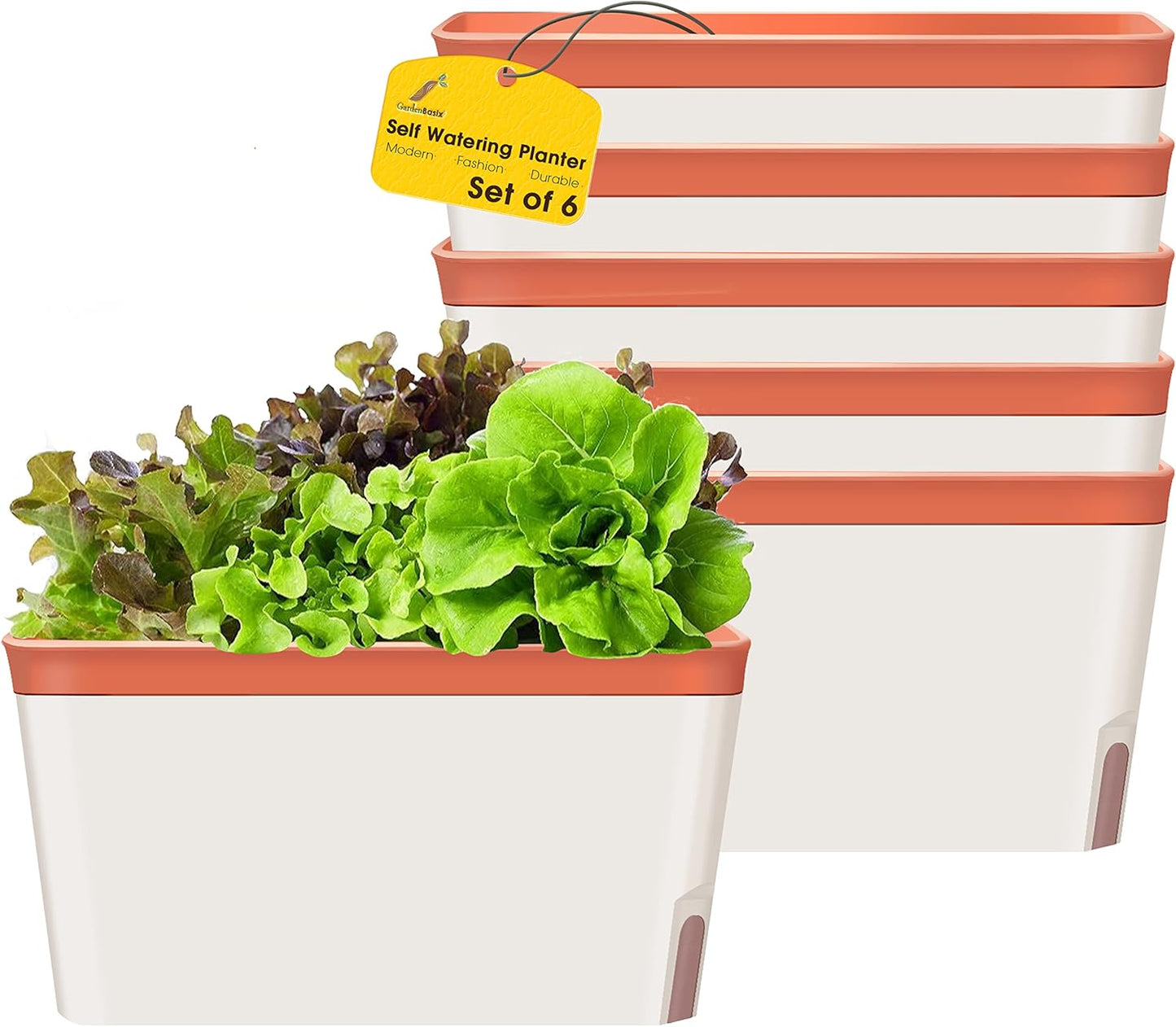 GardenBasix Self Watering Planter Pots Window Box for Indoor Plants Home Garden Modern Decorative Flower Pot for All House Herbs Succulents Set of 6 (6, Clay(Rectangle))