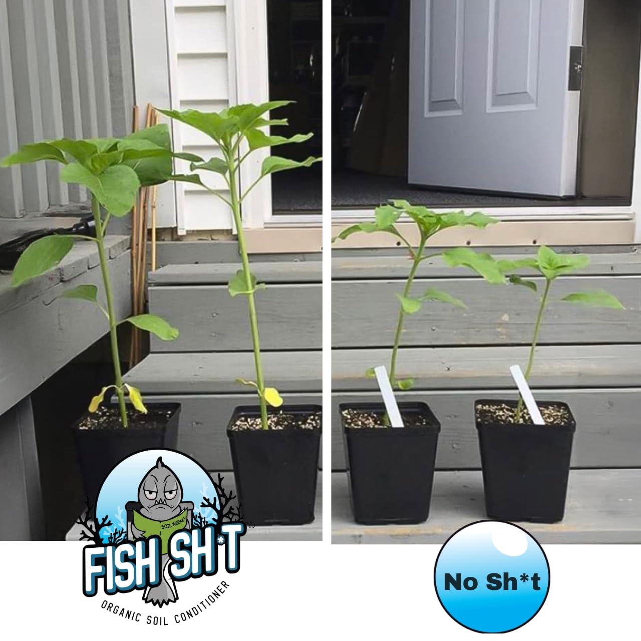 Fish Head Farms Organic Soil Conditioner for Yield and Flavor Enhancement. Improves Fertilizer Efficiency. Useful in Both Garden Soil and Hydroponics Applications - 1 Liter