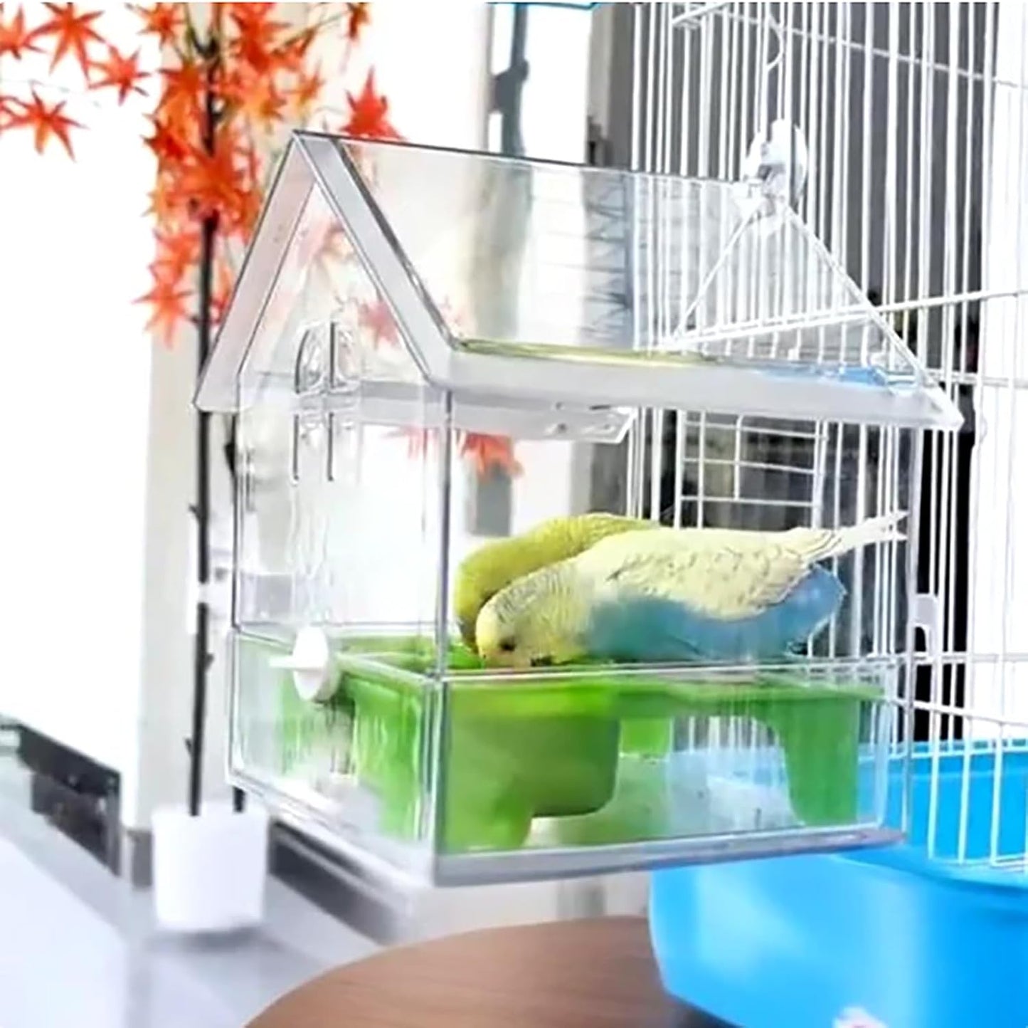 Ziveseller/Sowhathow Pull-Out External Parrot Feeder, Parrot Feeder Parakeet House Bird Bath Transparent Dish Water, Hanging Wild Bird Seed with Squirrel Proof Tray (Green)