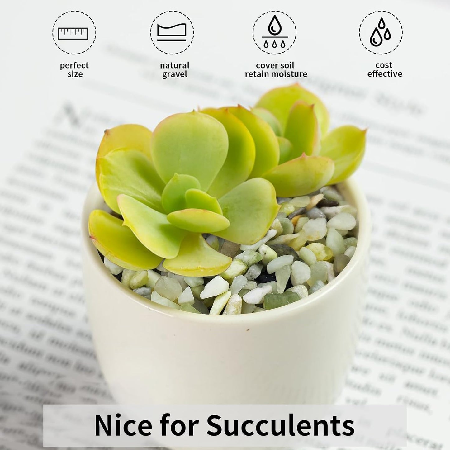 10 lbs Jade Gravel Small Pebbles for Plants, 3/8 Inch Decorative Rocks for Plants Succulents Bamboo Vases Landscaping and Potted Drainage Rocks