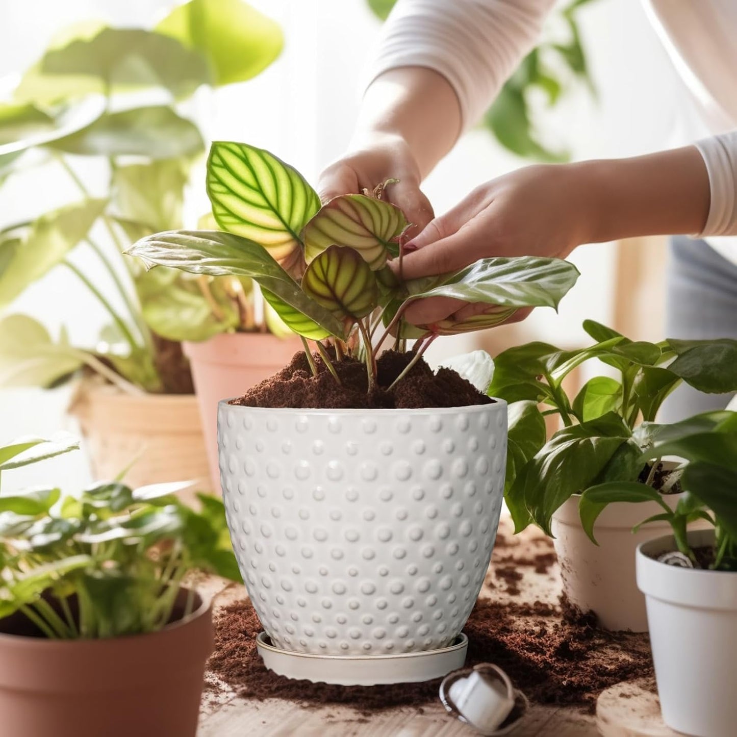 G EPGardening 7 Inch Ceramic Plant Pot with Drainage Hole and Saucer Round Planter Decorative Flower Plant Pot for Indoor Plants Outdoor White