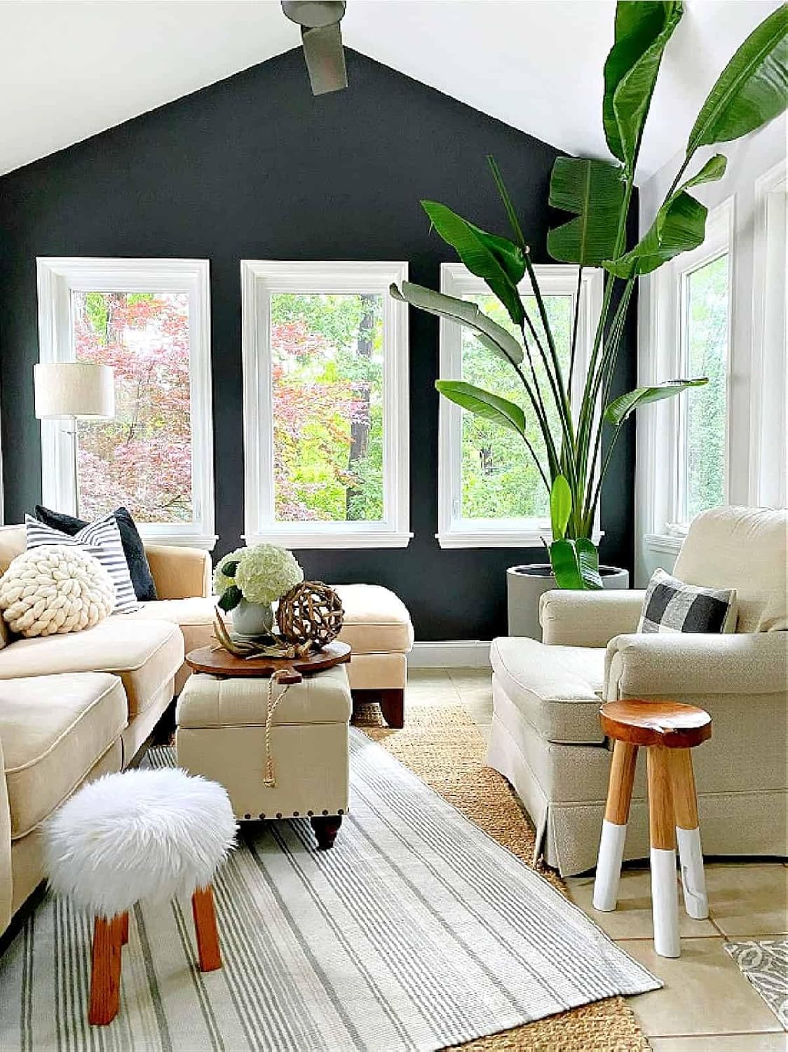 Bird of Paradise - White - Strelitzia Nicholai. (4 White BoP in Sac)
