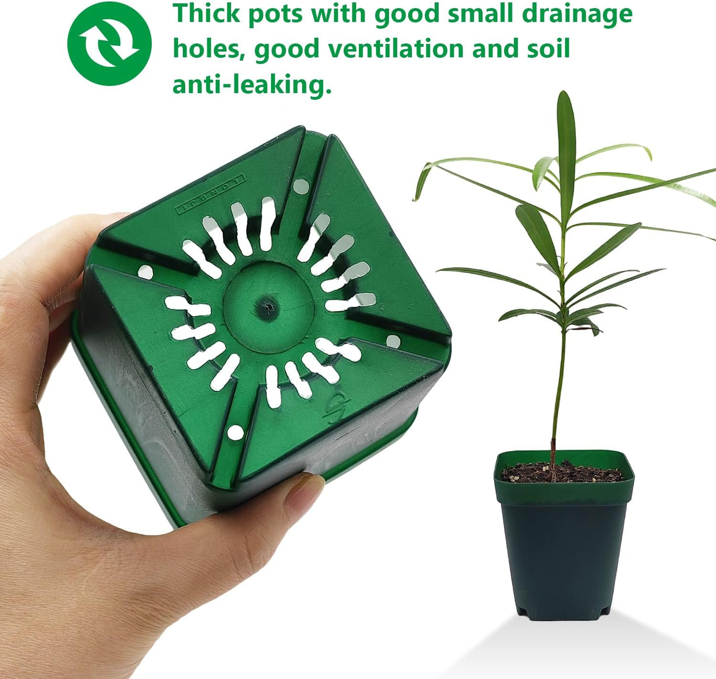 Square Seedling Nursery Pots 3.15 Inches 100 Pcs for Small Succulents or Cacti Flower Plastic Pots Sturdy Reusable (Green, 3.14Inches,100Pcs)
