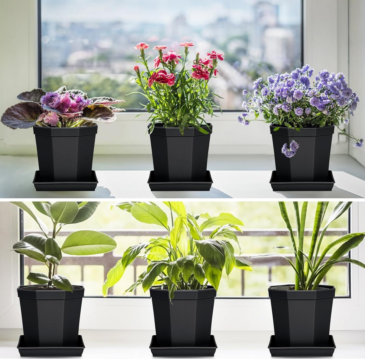 Square Plant Saucer 6inch 5 Pack, Plastic Plant Saucers, Plant Water Dray Tray, 8 10 12 14 16 18 20 Inch Garden Planters for for Pots Base Indoors and Outdoors Plants（6 inch Black）