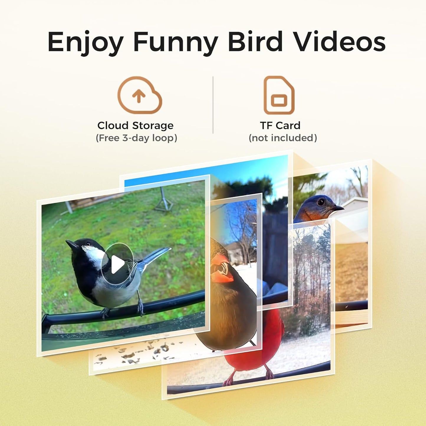 Smart Squirrels-Proof Bird Feeder with Camera Solar Powered, AI Identify Bird Species, Instant Notification Camera, CCPA Data Security, 3.2L Ultra Large Capacity Gift