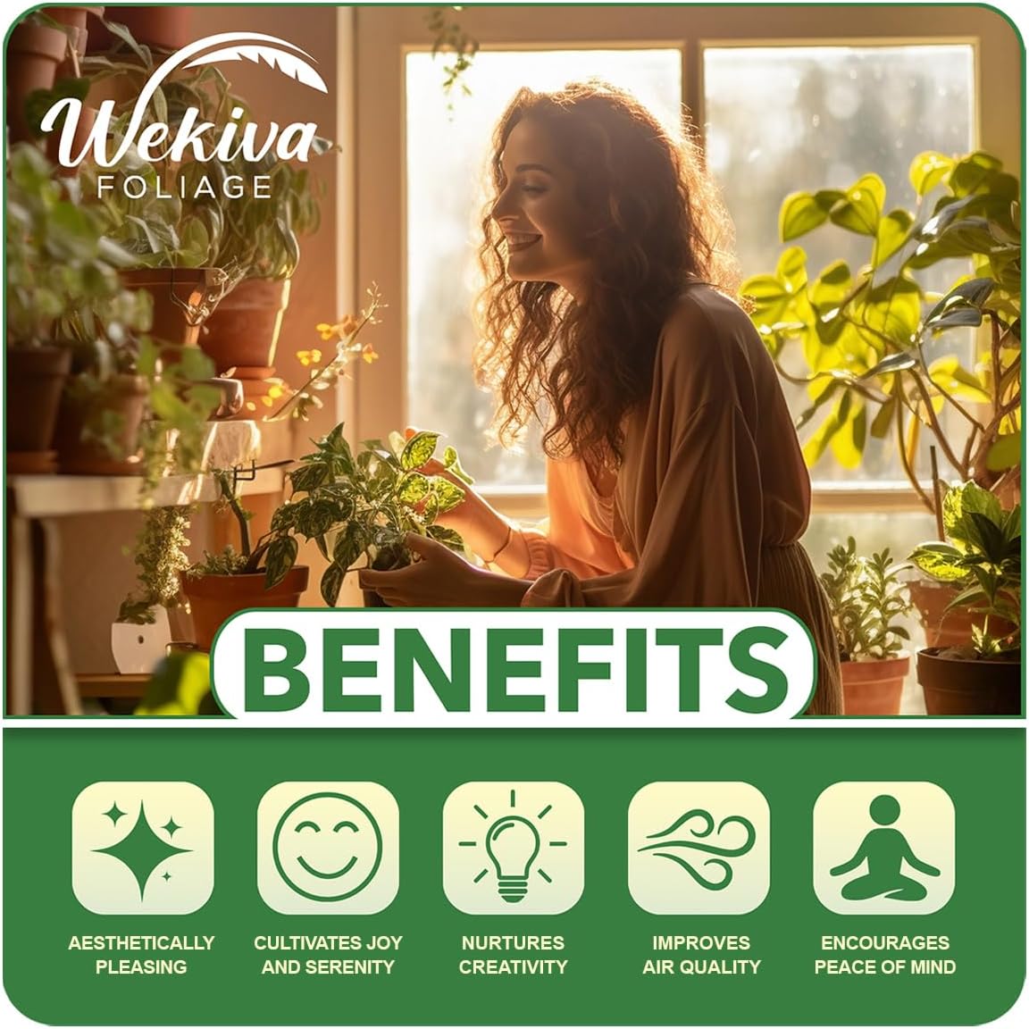 Kadota Fig Tree - 4 Live Starter Plants - Ficus Carica - Edible Fruit Tree for The Patio and Garden