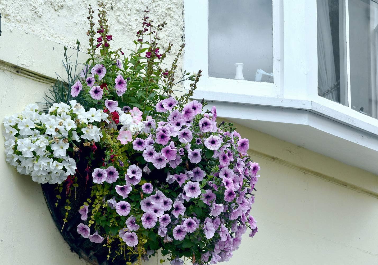 14 inch Coco Liner for Planters, 2PCS Half Round Replacement Plant Basket Liners Coco Fiber Liner for Hanging Basket Wall Flower Basket, Half Circle Wall Planter